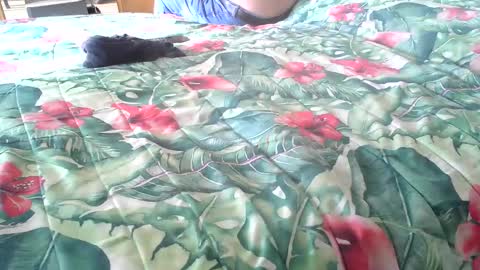 Rocco-load online show from October 16, 2025, 1:56 pm