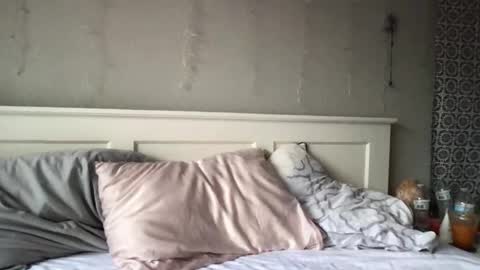 Snapshot of stelladams chatting on March 4, 2026, 9:43 pm stelladams online show from March 4, 2026, 9:43 pm