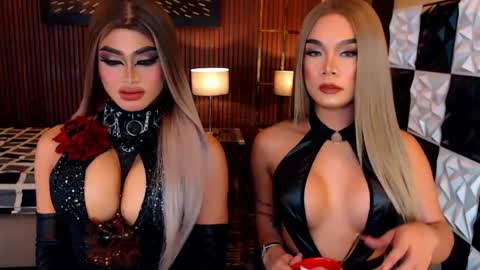 stellaperkins online show from May 24, 2026, 6:51 am