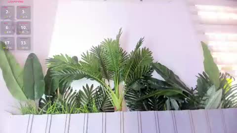 Stephany  online show from July 28, 2026, 7:39 pm