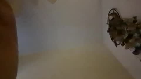 Snapshot of sterng123 chatting on December 10, 2024, 9:01 am sterng123 online show from December 10, 2024, 9:01 am