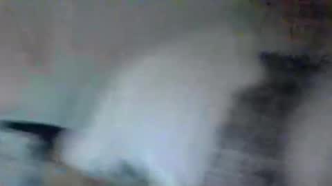 stevedoer1 online show from May 2, 2026, 10:26 pm