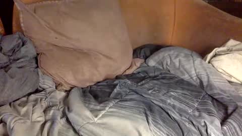 STEVE CASHMASTER 1comedia online show from February 20, 2025, 4:14 pm