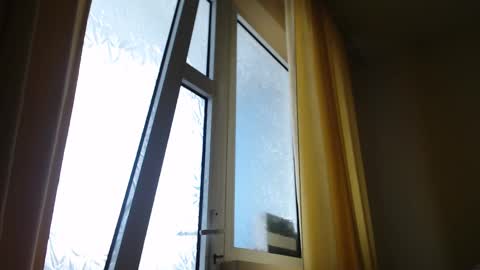 Steven online show from February 19, 2025, 1:39 pm