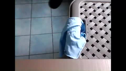 stevenx1974 online show from March 8, 2026, 9:02 am