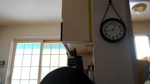 stormynorm14 online show from December 21, 2024, 5:40 pm