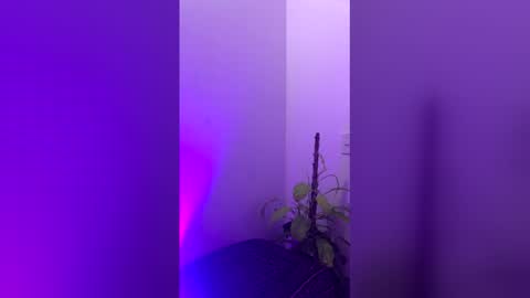 straight_boys_hornys online show from December 20, 2025, 11:50 am