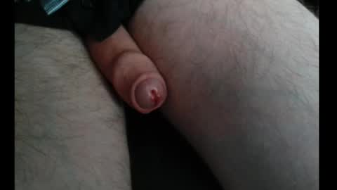 CuriousStudentBi online show from October 28, 2025, 3:58 pm