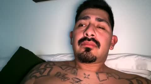 stylezg805 online show from October 4, 2025, 8:34 am