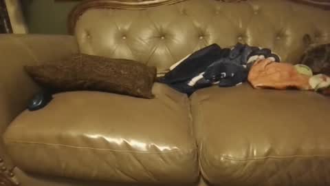 sub_michael41 online show from January 21, 2025, 5:05 am