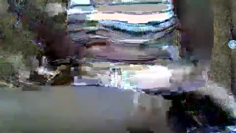 submissive_slut001 online show from January 12, 2025, 11:50 am