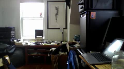 Sugar online show from April 14, 2026, 2:01 pm