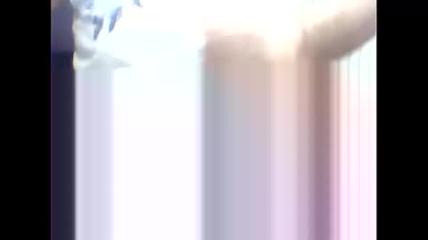 Snapshot of suleyman38 chatting on February 17, 2025, 12:16 pm suleyman38 online show from February 17, 2025, 12:16 pm