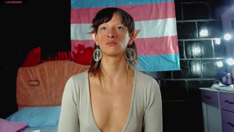 Summer online show from February 19, 2025, 6:11 am