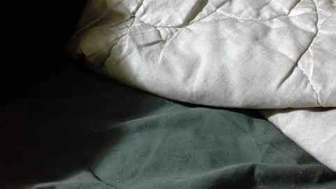 Shy guy online show from April 19, 2026, 7:16 pm