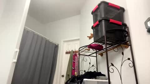 Snapshot of sunny_clementine chatting on November 4, 2025, 10:09 pm Sunny Clementine online show from November 4, 2025, 10:09 pm