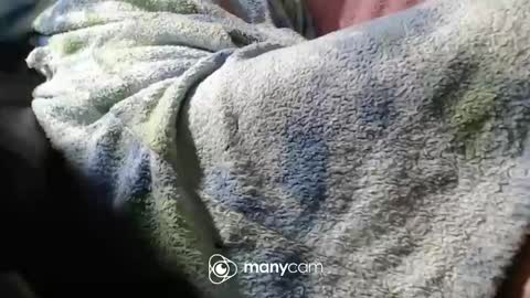 sven online show from November 6, 2025, 7:04 pm