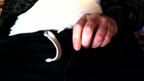 superstuntman1 online show from February 10, 2025, 7:36 am