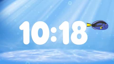 Susan online show from November 18, 2025, 2:39 am