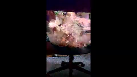 Snapshot of svald0 chatting on June 5, 2026, 12:44 pm svald0 online show from June 5, 2026, 12:44 pm
