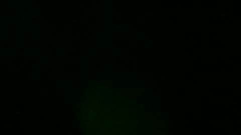 sweeetiiefox online show from February 24, 2026, 10:13 am