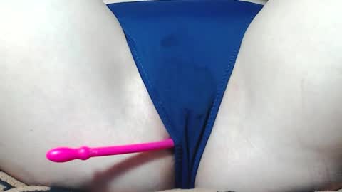 Kitten online show from April 1, 2026, 7:53 am