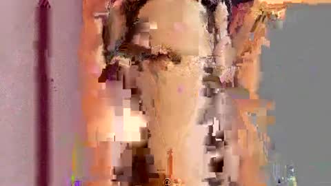          online show from July 15, 2026, 7:41 pm