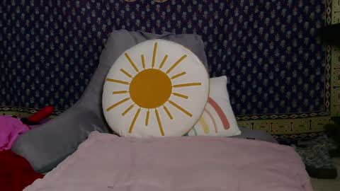 Snapshot of sweet_truffle chatting on October 2, 2025, 12:45 pm Heidi Brenner - Please check bio for schedule FAQ online show from October 2, 2025, 12:45 pm