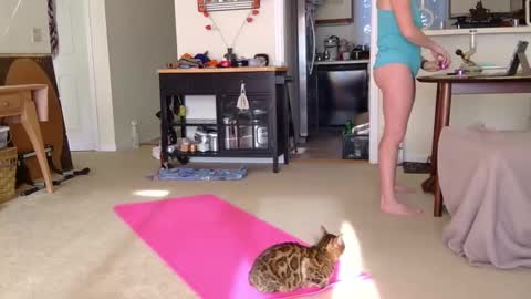 Snapshot of sweet_truffle chatting on October 7, 2025, 1:19 pm Heidi Brenner - Please check bio for schedule FAQ online show from October 7, 2025, 1:19 pm