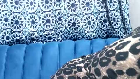 sweetgal11 online show from July 3, 2026, 10:32 am