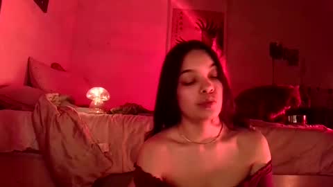 Blu Sweets online show from December 17, 2024, 4:56 am