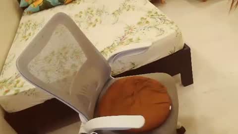 sweetjhenn69 online show from January 23, 2025, 4:04 pm