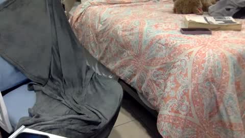 WeAim2PZzz online show from February 20, 2025, 11:43 pm