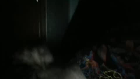 Snapshot of sweetpussylicks chatting on February 7, 2025, 7:29 am sweetpussylicks online show from February 7, 2025, 7:29 am