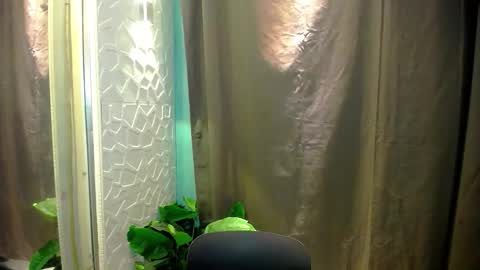 Snapshot of sweetspecial_jessyxx chatting on April 14, 2026, 6:58 pm sweetspecial_jessyxx online show from April 14, 2026, 6:58 pm