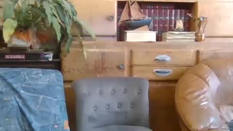 Snapshot of sympa_trique chatting on October 9, 2025, 10:35 am sympa_trique online show from October 9, 2025, 10:35 am