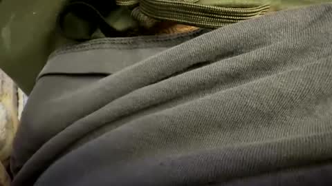 Snapshot of t265h chatting on October 24, 2025, 1:03 am tRex online show from October 24, 2025, 1:03 am