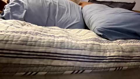 Snapshot of t265h chatting on November 5, 2025, 12:43 am tRex online show from November 5, 2025, 12:43 am