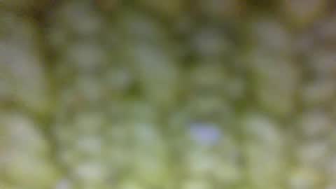 Prostate Orgazmer online show from May 29, 2026, 1:42 pm