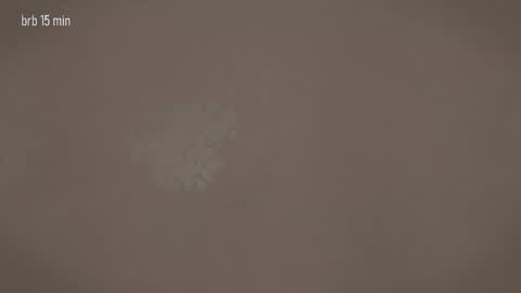 TAANNI online show from March 20, 2026, 12:32 pm