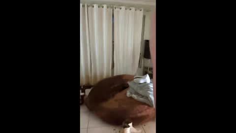 Snapshot of tab7exp chatting on March 21, 2026, 1:21 am tab7exp online show from March 21, 2026, 1:21 am