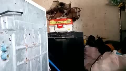 tadfn online show from January 18, 2025, 1:40 pm