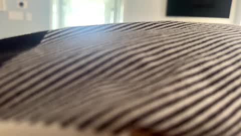 Snapshot of talk2me818 chatting on January 2, 2025, 3:08 pm talk2me818 online show from January 2, 2025, 3:08 pm