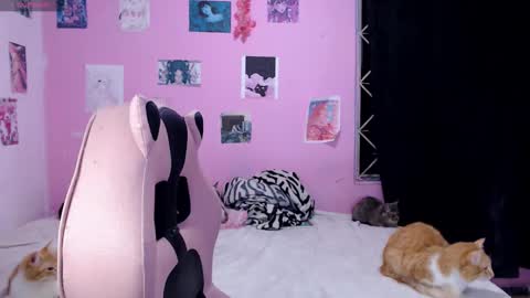 Snapshot of tamako_kitty__ chatting on December 14, 2024, 6:02 am Alejandra Independent model online show from December 14, 2024, 6:02 am