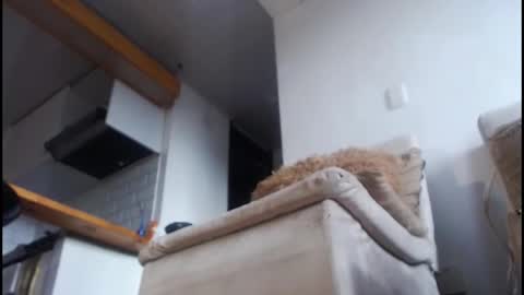 Tamara online show from February 8, 2026, 9:07 pm