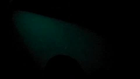 Snapshot of tatko874482 chatting on July 4, 2026, 7:42 pm Beliqnegar online show from July 4, 2026, 7:42 pm