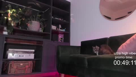 Snapshot of tattoo_ninja_kitty chatting on December 2, 2024, 10:23 pm Nathalie Hardy online show from December 2, 2024, 10:23 pm