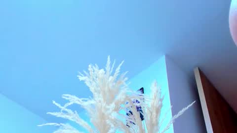 Snapshot of tayler_swift1 chatting on February 13, 2026, 6:37 pm tayler_swift1 online show from February 13, 2026, 6:37 pm