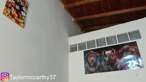 Taylor Mccarthy online show from January 25, 2025, 1:32 am