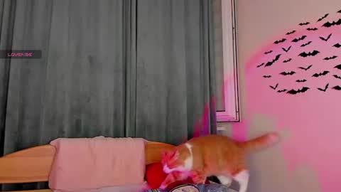 Snapshot of teaseme_bella chatting on July 18, 2026, 7:17 pm teaseme_bella online show from July 18, 2026, 7:17 pm